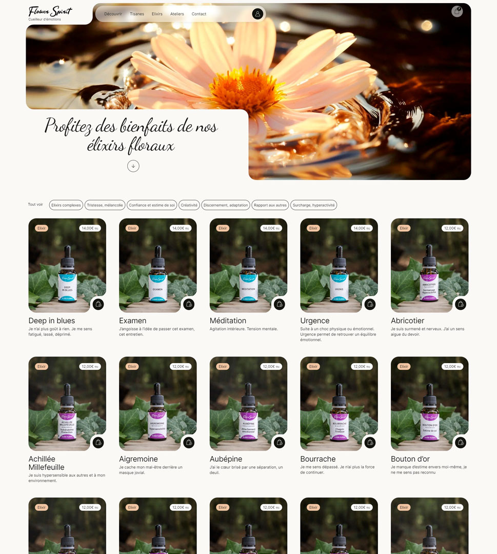 alioki agence communication sarlat dordogne creation site internet webmaster flower spirit page5