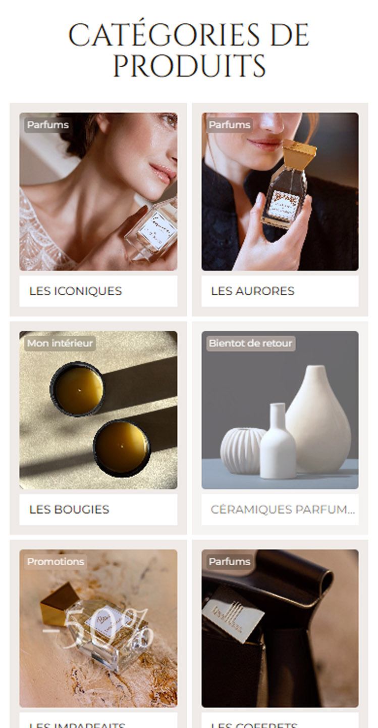 alioki agence communication sarlat dordogne creation site internet lesquendieu mobile5